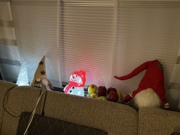 115-22-12-2025 IMG_3270